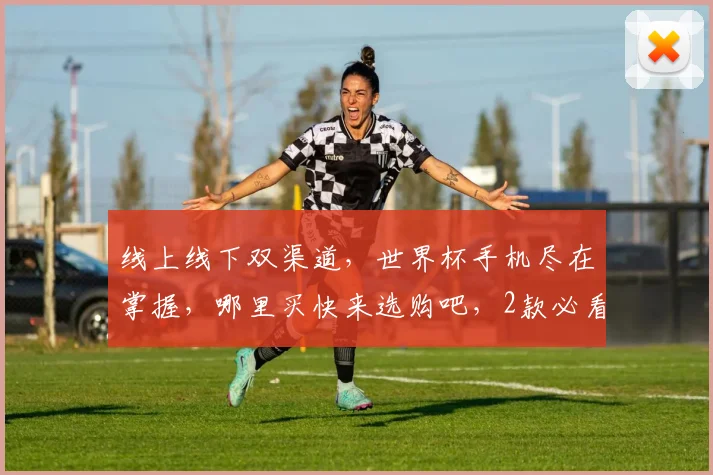 线上线下双渠道，世界杯手机尽在掌握，哪里买快来选购吧，2款必看